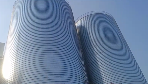 古城2座混凝土高架卷板仓